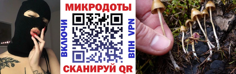 купить закладку Старый Крым Галлюциногенные грибы Psilocybine cubensis